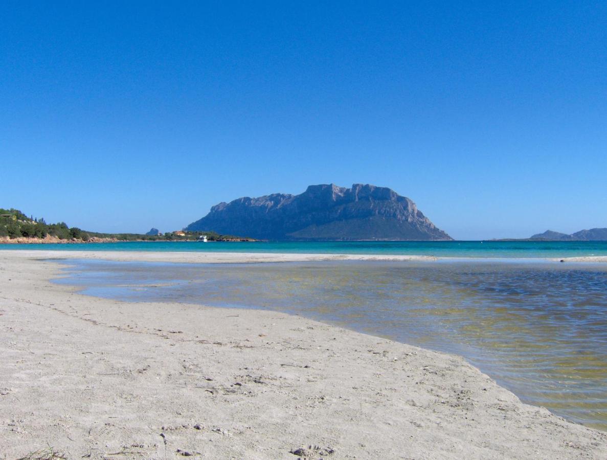 Il Mare Di Olbia Holiday Apartment Dış mekan fotoğraf